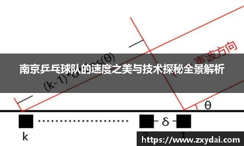 中欧体育