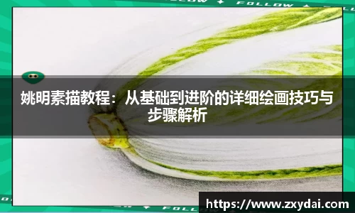 中欧体育官网