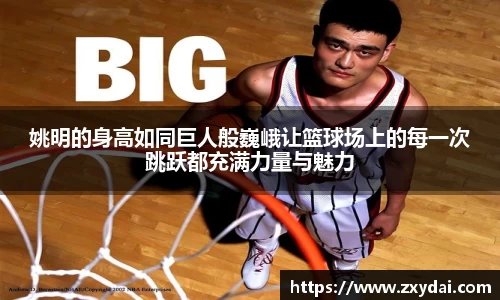 中欧体育网址