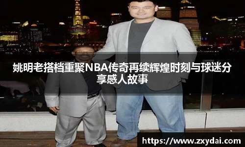 中欧体育官网