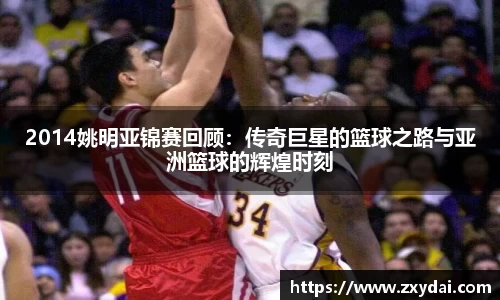 中欧体育官网