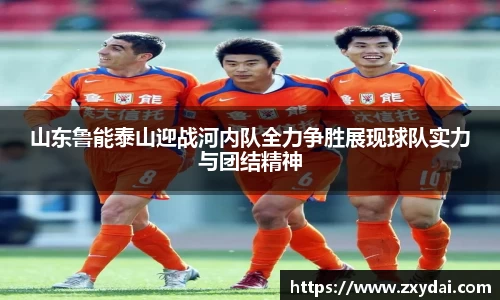 中欧体育官网